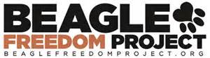 Beagle Freedom Project logo