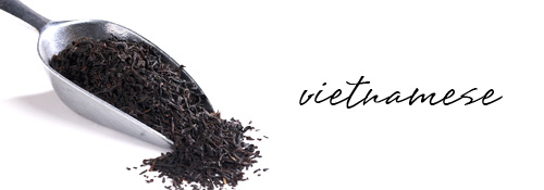 Vietnamese