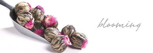 Blooming Display Teas