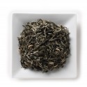 Chai White