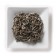 Silver Needle Jasmine
